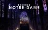 Oculus Quest 游戏《永恒的圣母院》Eternal Notre-Dame